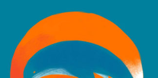 Ответьте, какое животное «бросилось» в глаза первым, и узнайте, что вы ставите на первое место в любви