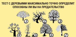 Мы предлагаем пройти тест и узнать смогли бы вы предать близкого человека или нет?