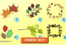 Тест:  узнайте, что вас ждет этой осенью с помощью изображения.