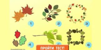Тест: узнайте, что вас ждет этой осенью с помощью изображения.