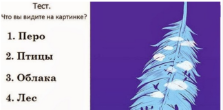 Интересно, что каждый человек на этой фотографии видит разные вещи.