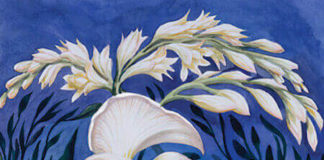 Этот психологический тест покажет, на какой стадии жизни вы находитесь