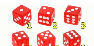 Тест: узнайте, что для вас важно в жизни с помощью игральной кости