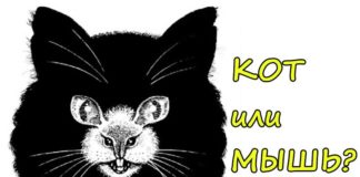 С помощью одной картинки вы сможете узнать как вы ведете себя в стрессовых ситуациях.