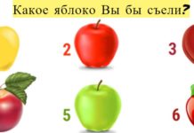 Выберите яблоко, которое вы бы съели, и узнайте особенность своего характера