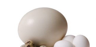 Выберете для себя яичко.