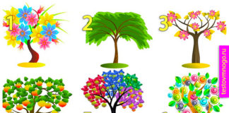 Тест:  узнайте секреты про свою  личность с помощью дерева