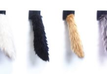 Представьте себя милым зверем с хвостиком.