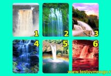 Пройдите тест, чтобы узнать какие привычки вы хотите поменять