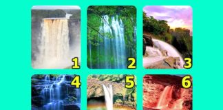 Пройдите тест, чтобы узнать какие привычки вы хотите поменять