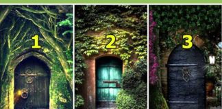 Тест: узнайте подробности вашей личности с помощью двери