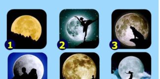 Пройдите тест, чтобы узнать секреты своей личности