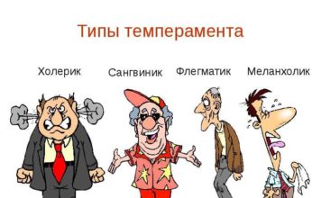 Определим тип темперамента с помощью теста.
