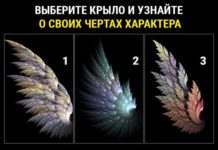 Тест: узнайте секреты своего характера с помощью крыла.