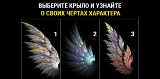 Тест: узнайте секреты своего характера с помощью крыла.