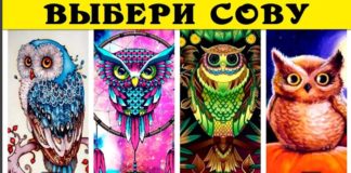 Тест: узнайте полную характеристику вашей личности с помощью картинок