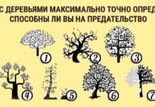 Тест: выберите дерево и узнайте, способны ли вы на предательство