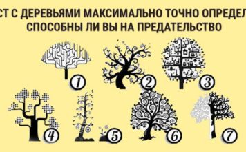 Тест: выберите дерево и узнайте, способны ли вы на предательство