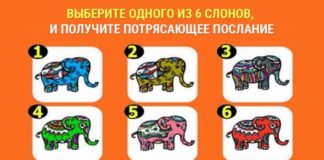 Тест: узнайте, как привлечь удачу с помощью слоника