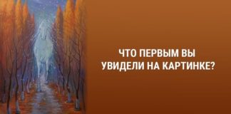 Психологический тест: решите, какой жизненный путь выбрать