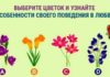 Психологический тест: выберите цветок и узнайте о своем поведении в отношениях