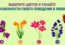 Психологический тест: выберите цветок и узнайте о своем поведении в отношениях