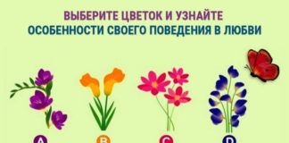 Психологический тест: выберите цветок и узнайте о своем поведении в отношениях