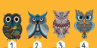 Тест: узнайте о типе своего характера