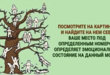 Психологический тест: составьте свой психологический портрет за минуту