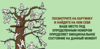 Психологический тест: составьте свой психологический портрет за минуту