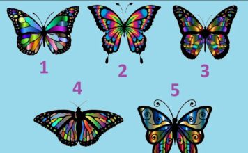 Тест: узнайте преимущества своего характера с помощью бабочки