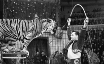 Тест: вопросы для людей, которые помнят о развлечениях во времена СССР