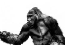 Тест для людей, которые обладают высоким IQ и умеют думать логически