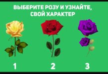 Тест: узнайте тип своего характера с помощью розы