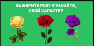 Тест: узнайте тип своего характера с помощью розы