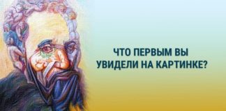 Тест-иллюзия: посмотрите на картинку и узнайте ведущую черту характера