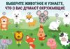 Психологический тест: выберите животное и узнайте, что думают о вас окружающие