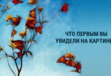 Тест: взгляните на картинку и узнайте, чего вам не хватает