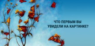 Тест: взгляните на картинку и узнайте, чего вам не хватает