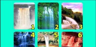 Тест: узнайте, как меняются ваши потребности с помощью водопада