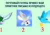 Голубь принес вам загадочное письмо