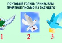 Голубь принес вам загадочное письмо
