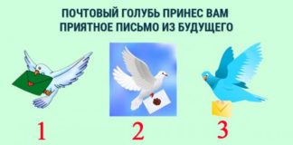 Голубь принес вам загадочное письмо