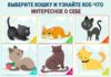 Психологический тест: выберите кошку и узнайте яркую черту своего характера