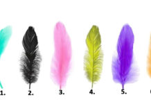 Разноцветные перья расскажут про вас всю тайну
