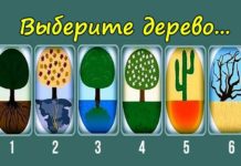 Психологический тест: выберите дерево и узнайте свое положение в жизни