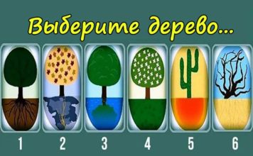 Психологический тест: выберите дерево и узнайте свое положение в жизни
