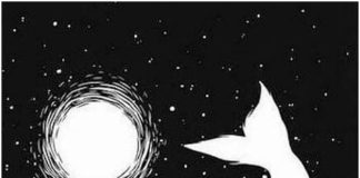 Тест: узнайте особенности своего характера