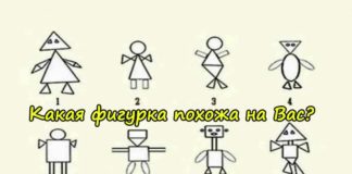 Тест: узнайте свое жизненное призвание