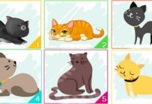 Тест: узнайте, какие черты вашего характера доминируют